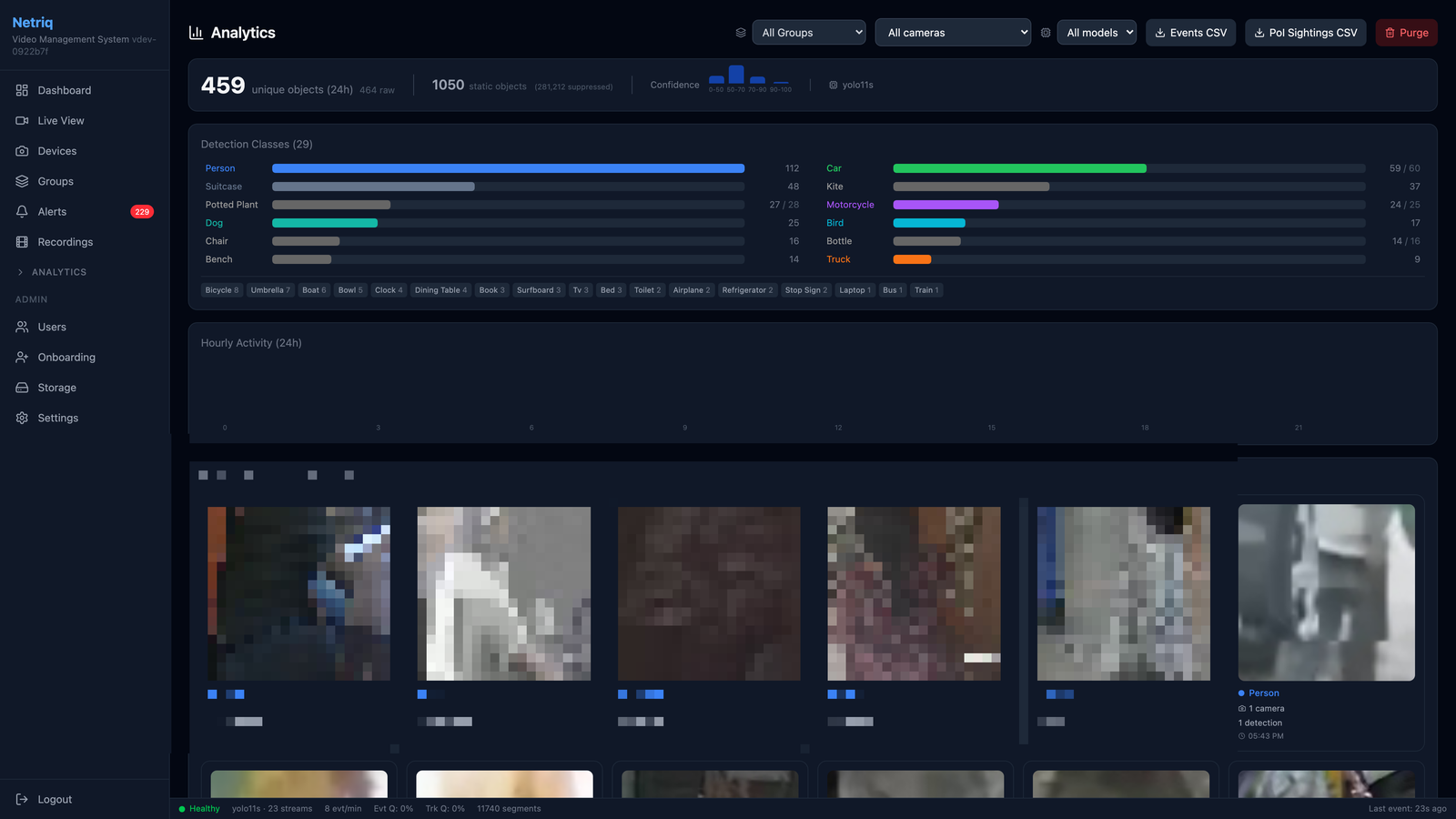 Analytics with detection classes, hourly activity, and sightings groups